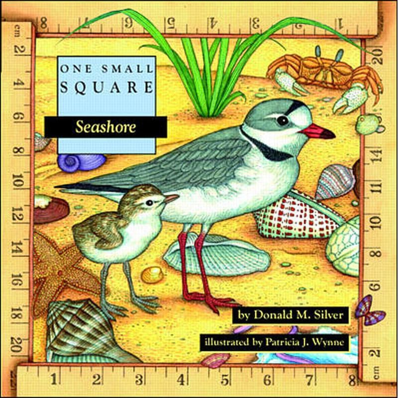Libro McGraw-Hill Education Orilla del Mar (One Small Square)