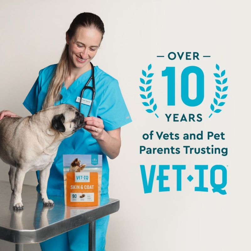 Suplemento VETIQ Piel y Pelaje para Perros – 90 unidades