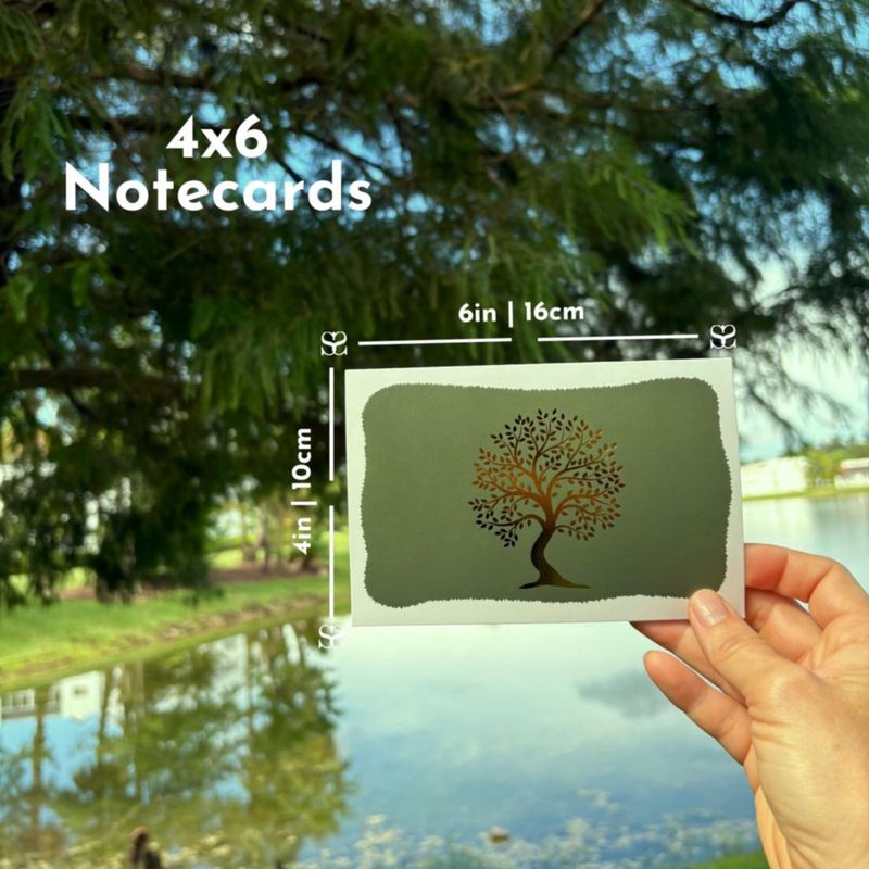 Tarjetas de Felicitación SETTINI surtidas - Caja de 18 unidades