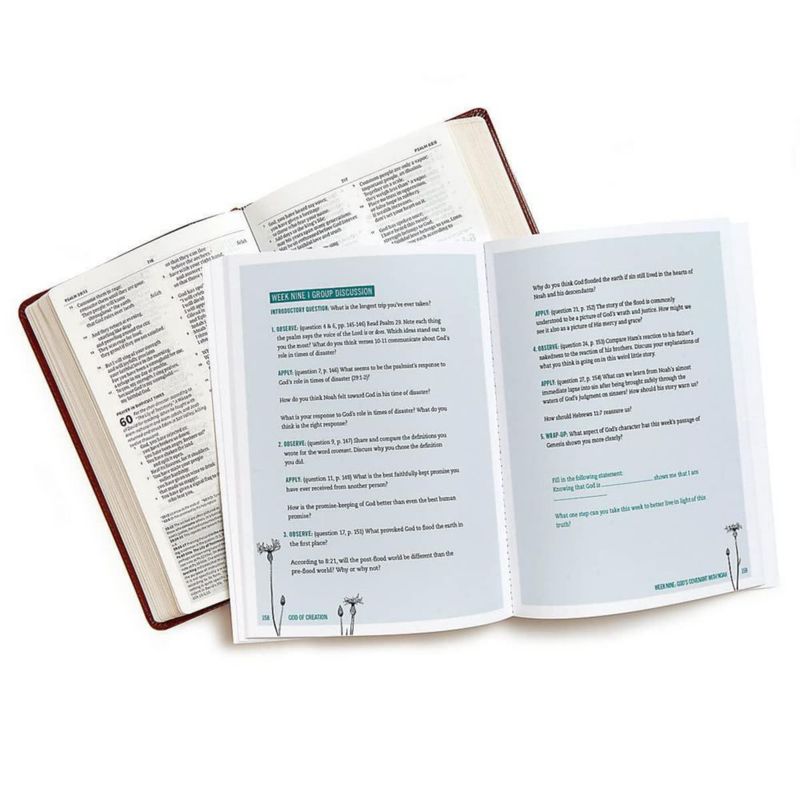 Estudio bíblico LifeWay Press Génesis 1-11 – Acceso a video