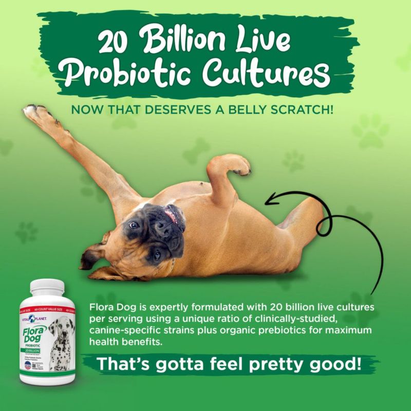 Probiótico para Perro Vital Planet 60 comprimidos 20 mil millones de UFC