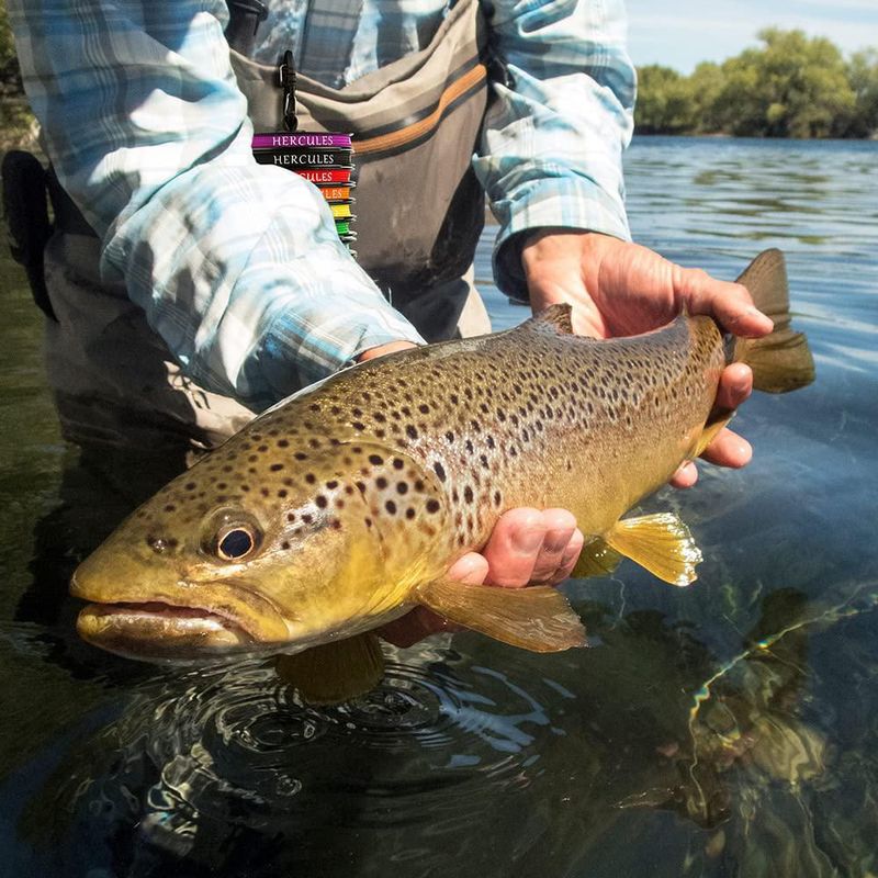 Línea de pesca con mosca HERCULES Floating WF7F de 30 m con lazo naranja