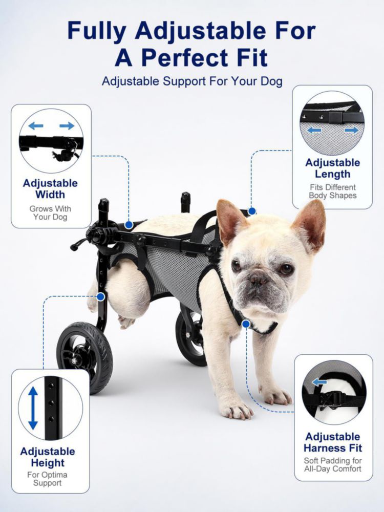 Silla de ruedas para perros BECROWM - carrito de movilidad ajustable
