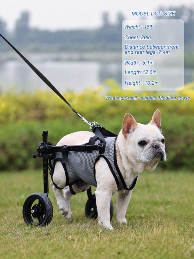 Silla de ruedas para perros BECROWM - carrito de movilidad ajustable