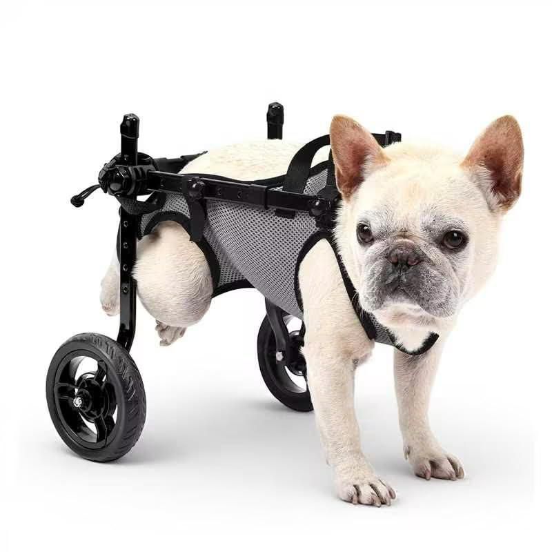 Silla de ruedas para perros BECROWM - carrito de movilidad ajustable