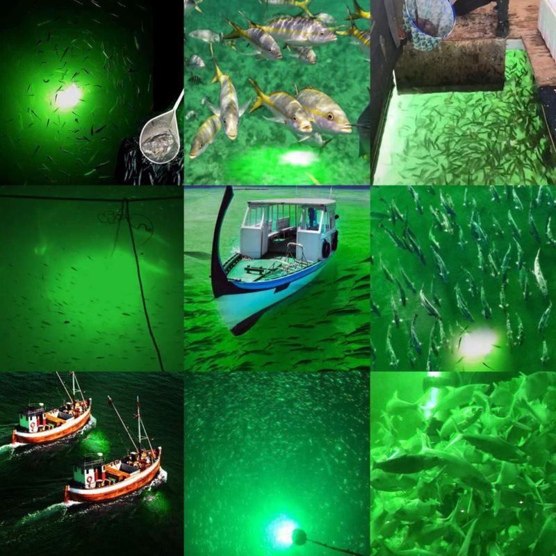 Luz de pesca subacuática SAMDO 12V 180 LED 1080 lúmenes verde