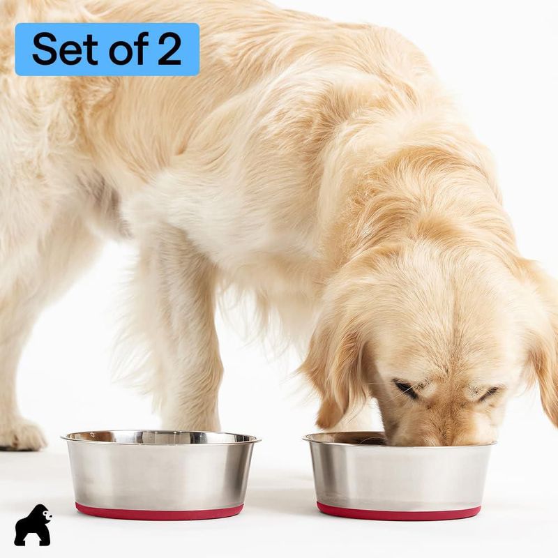 Juego de 2 tazones para perro GORILLA GRIP 19 L rojo