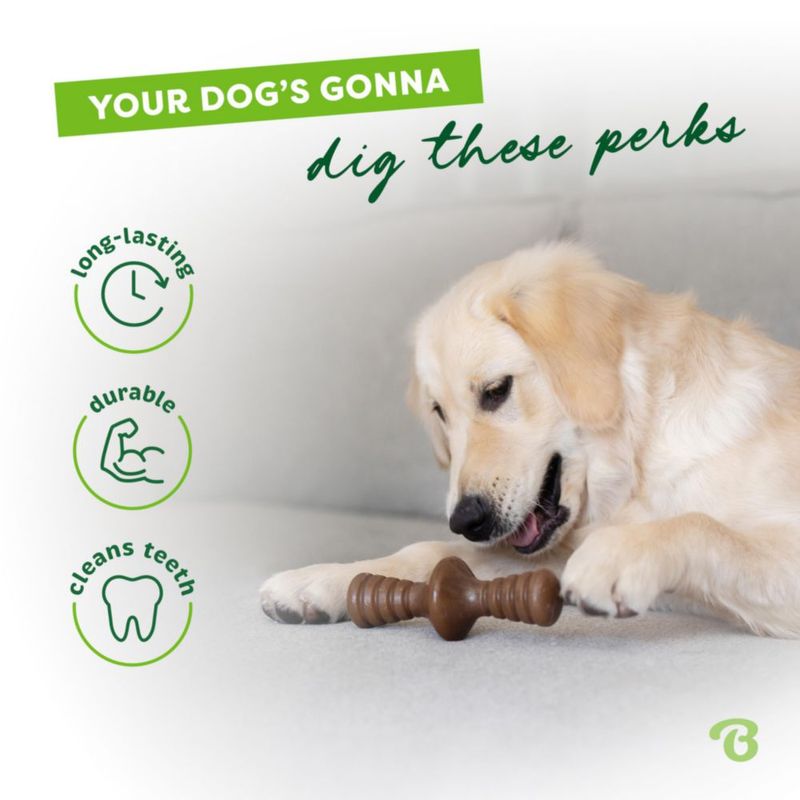 Juguete masticable para perros Benebone Zaggler Rolling para masticadores agresivos