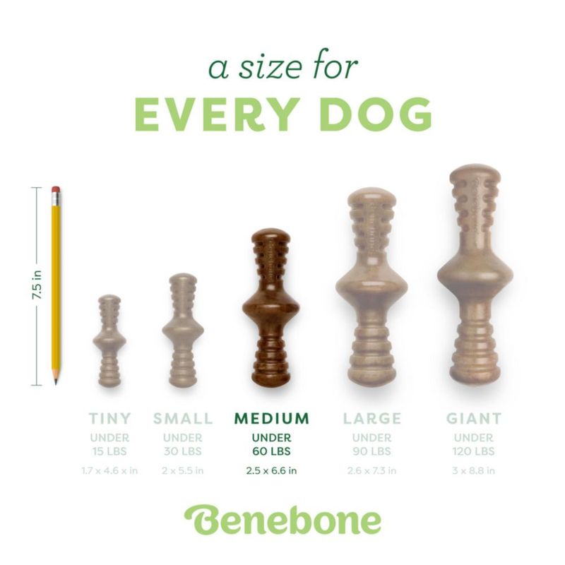 Juguete masticable para perros Benebone Zaggler Rolling para masticadores agresivos
