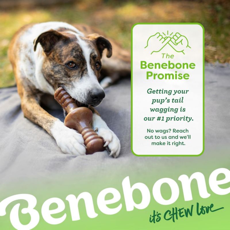 Juguete masticable para perros Benebone Zaggler Rolling para masticadores agresivos
