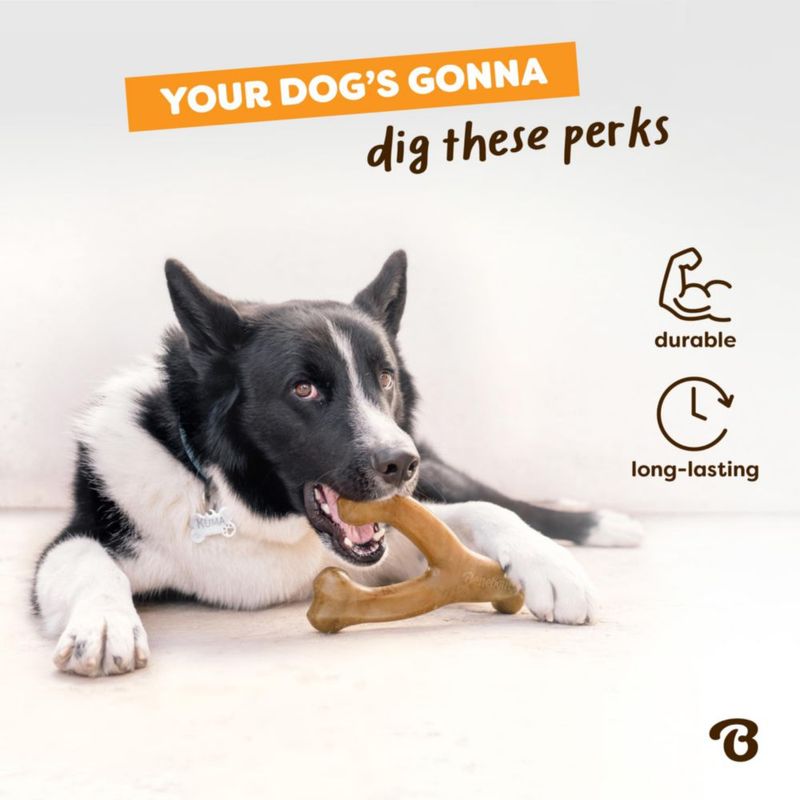 Juguete de masticar para perro Benebone Wishbone de venado – Tamaño pequeño