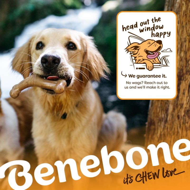 Juguete de masticar para perro Benebone Wishbone de venado – Tamaño pequeño