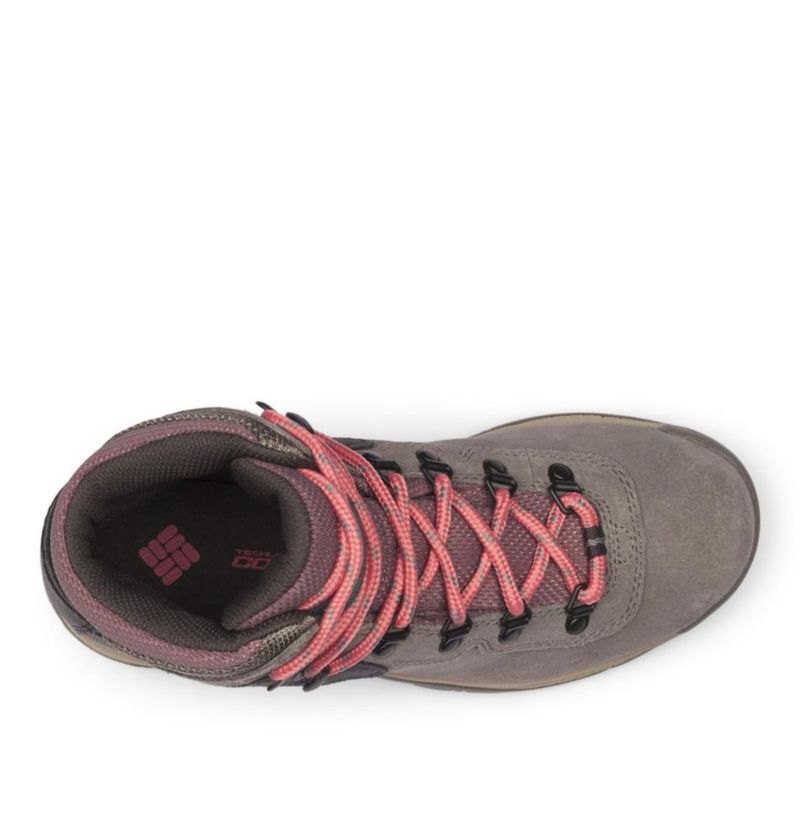 Bota Columbia Newton Ridge Impermeable Amped para Mujer
