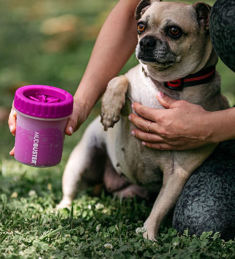 Limpiador de Patas para Perro Dexas Pequeño Fucsia Premium