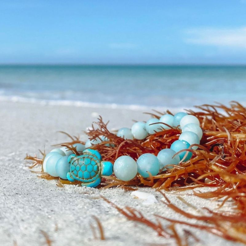 Pulsera KoaKoa Tortuga Marina Azul Bahama Talla Única