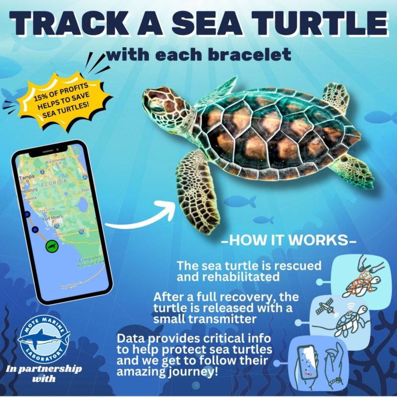 Pulsera KoaKoa Tortuga Marina Azul Bahama Talla Única