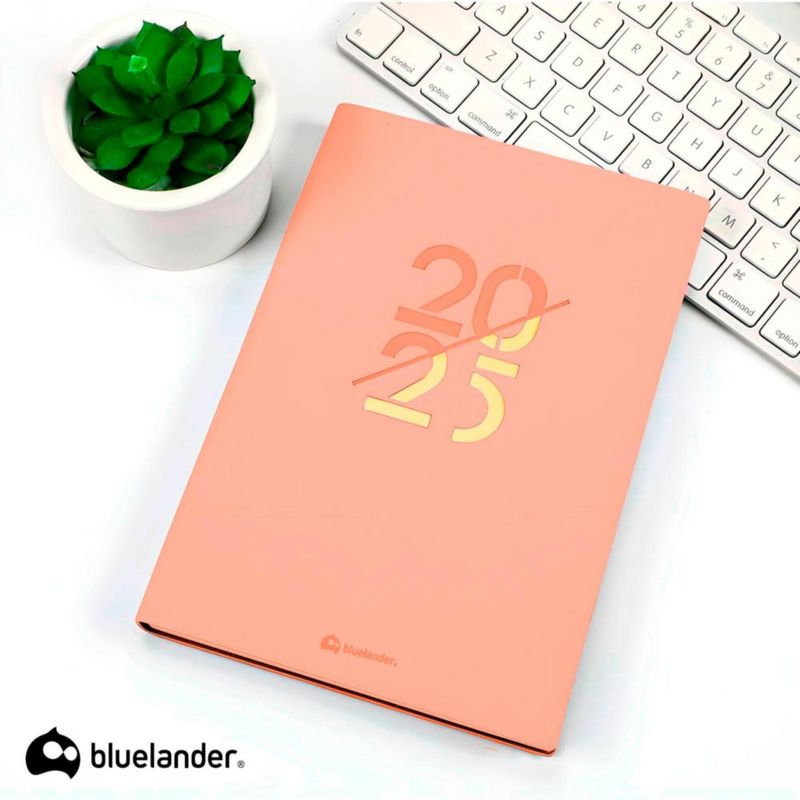 Bluelander Agenda 2027, Calendario, con Pestañas, Diario, Semanal, Mensual, Pasta PU, Papel de Alta Calidad, A5, 304 Páginas, 21 cm*14.5 cm (Rosa)