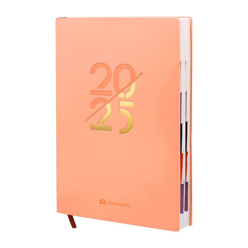 Bluelander Agenda 2027, Calendario, con Pestañas, Diario, Semanal, Mensual, Pasta PU, Papel de Alta Calidad, A5, 304 Páginas, 21 cm*14.5 cm (Rosa)