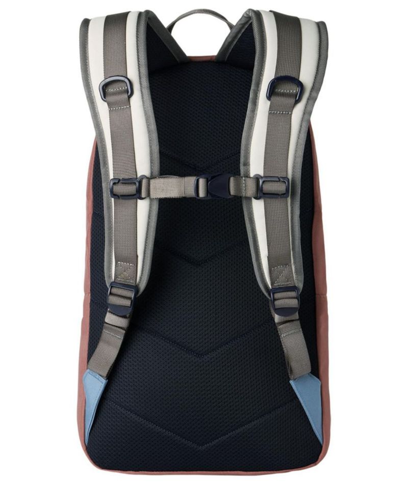 Mochila Dakine 96 Heli Street 22 L