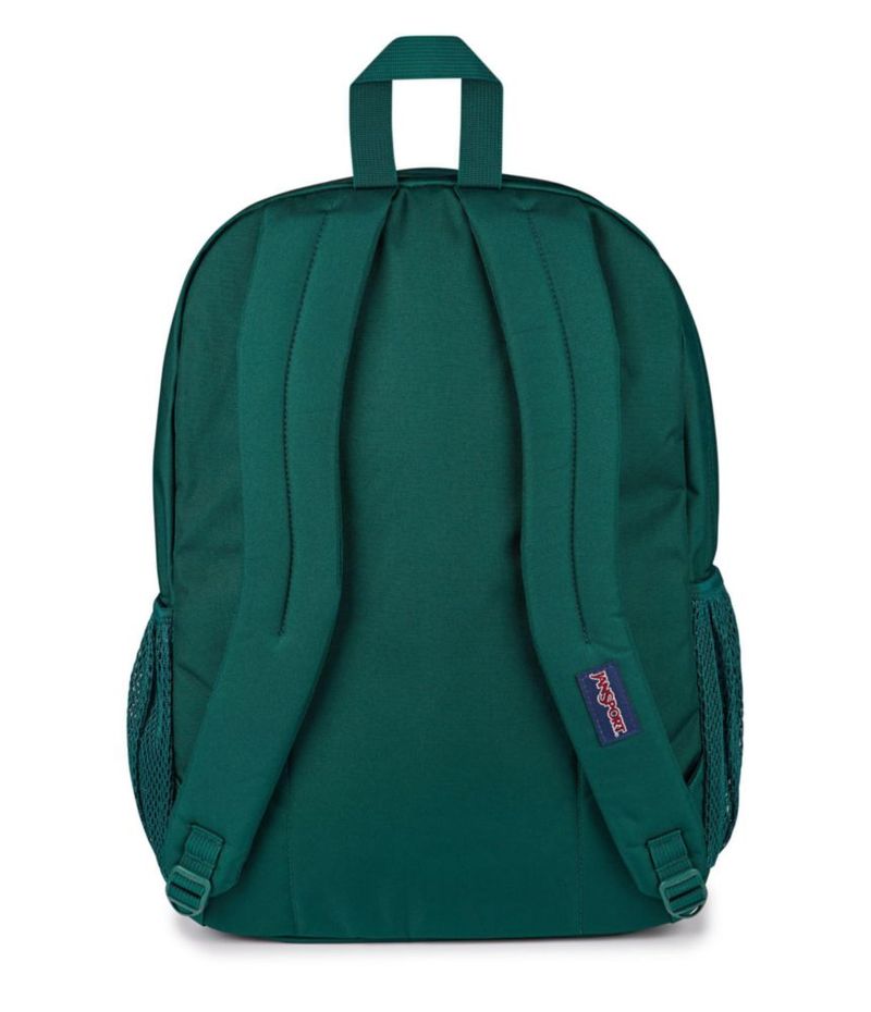 Mochila JanSport Big Day 44x20x33 cm Juniper profundo