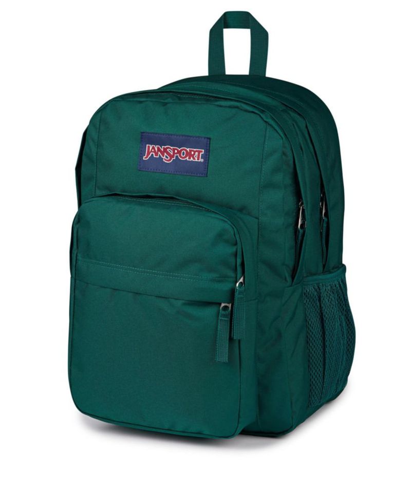 Mochila JanSport Big Day 44x20x33 cm Juniper profundo