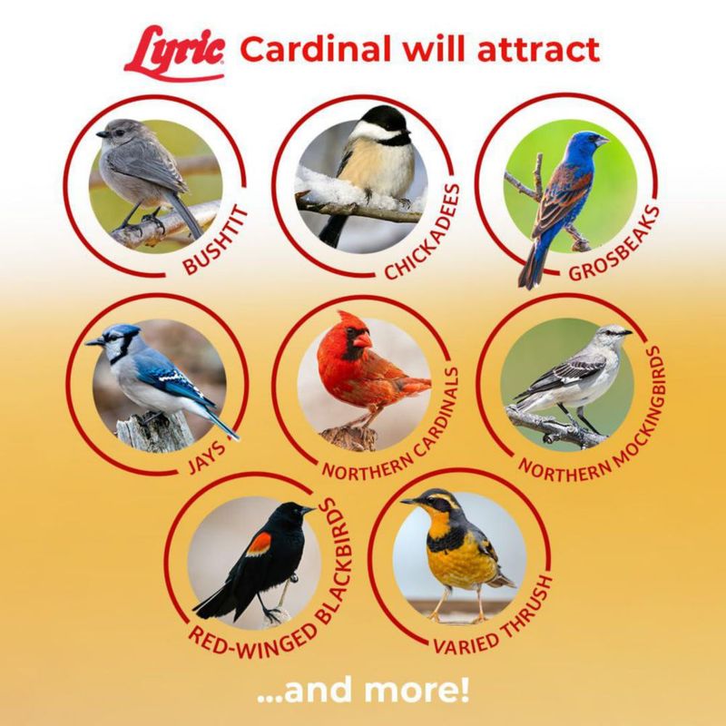 Semillas para Pájaros Lyric Cardenal Girasol y Cártamo 8.2 kg