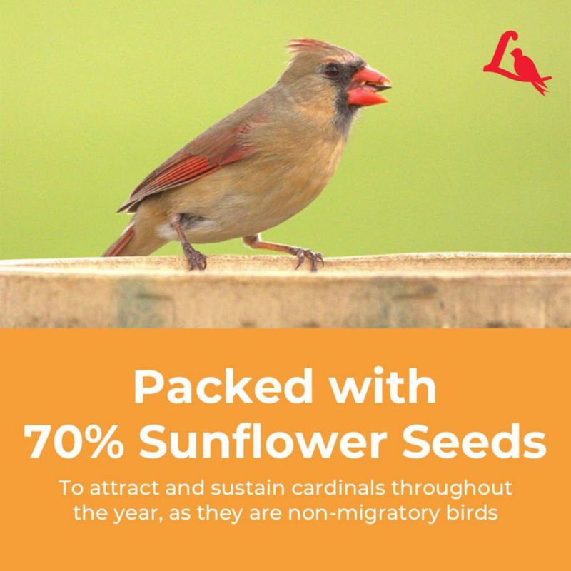 Semillas para Pájaros Lyric Cardenal Girasol y Cártamo 8.2 kg