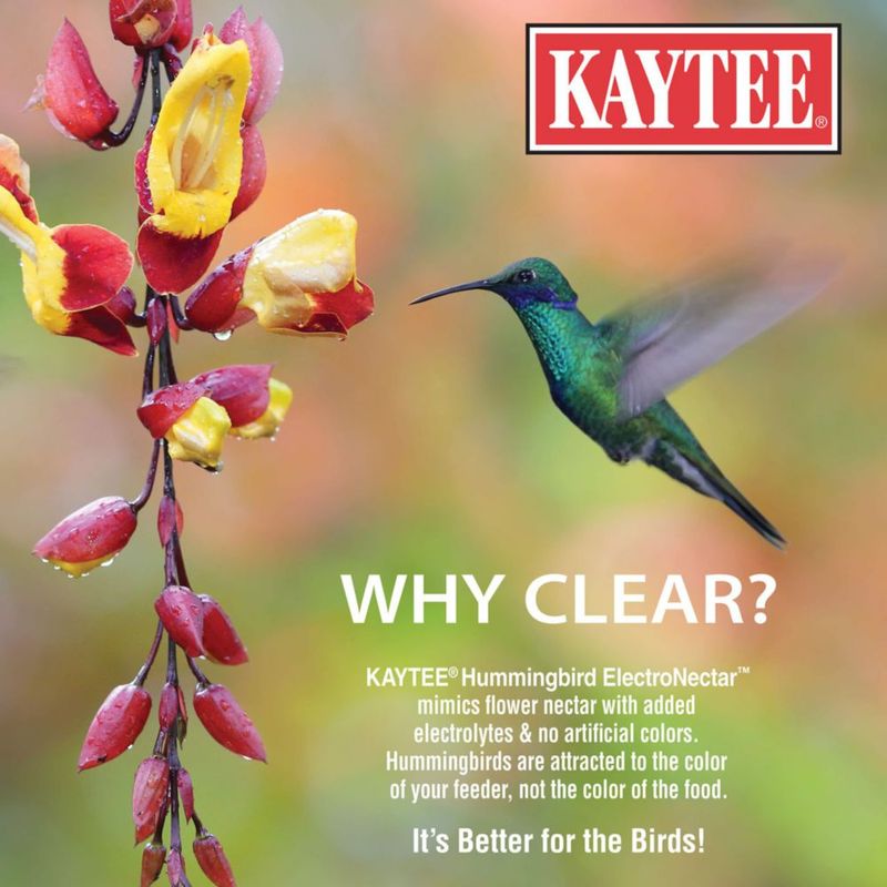 Alimento para Colibrí Kaytee ElectroNectar 1890 ml Listo para Usar