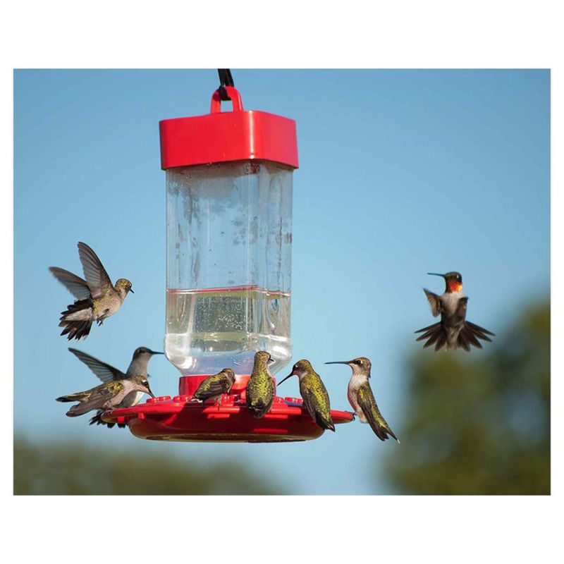 Alimento para Colibrí Kaytee ElectroNectar 1890 ml Listo para Usar