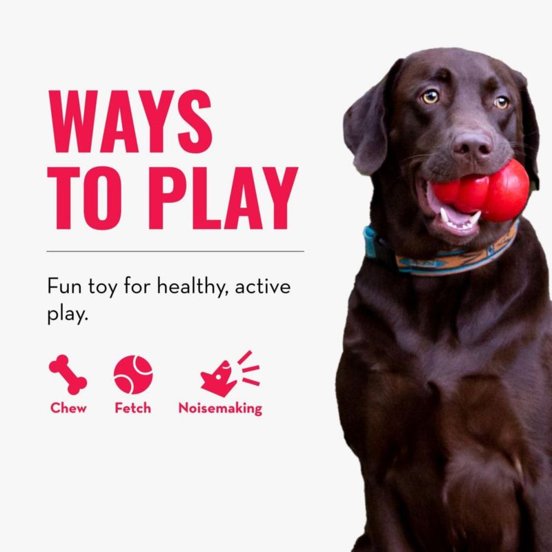 Bolas Squeakair KONG para Perro – Pack de 3 (tamaño mediano)