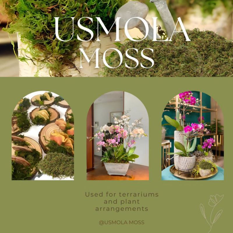 Musgo Artificial USMOLA 225 g Decoración Verde para Manualidades