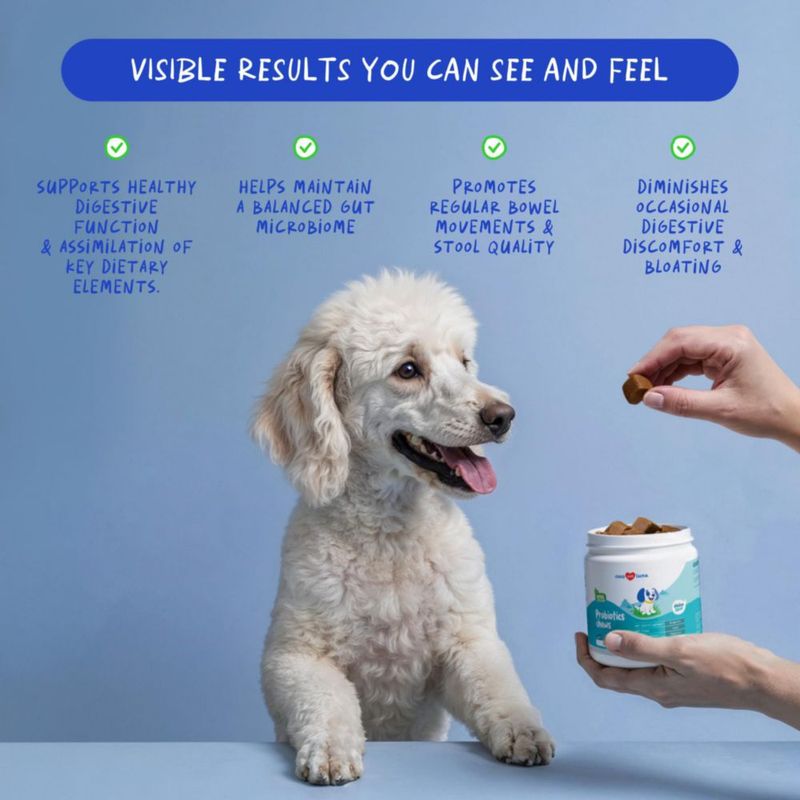 Probióticos para Perro Coco and Luna – 90 Gominolas Sabor Pollo