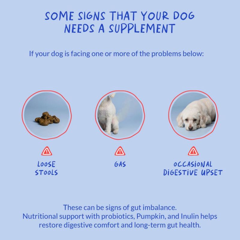 Probióticos para Perro Coco and Luna – 90 Gominolas Sabor Pollo