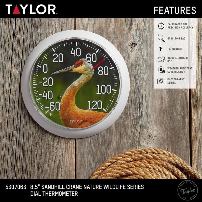 Termómetro Taylor Nature Sandhill Crane con bisel gris de 8.5"