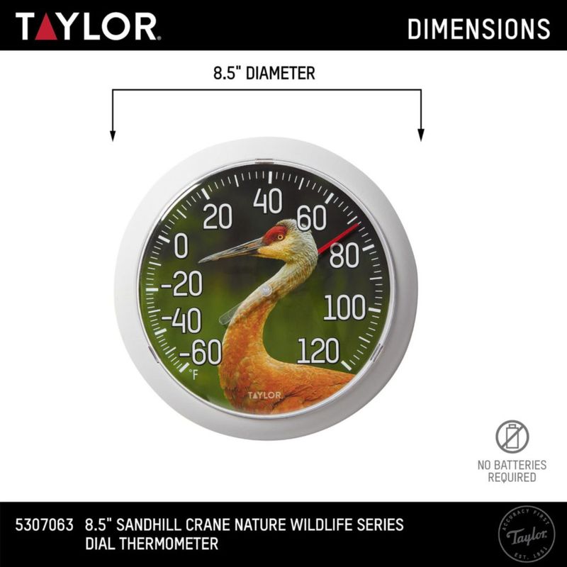Termómetro Taylor Nature Sandhill Crane con bisel gris de 8.5"