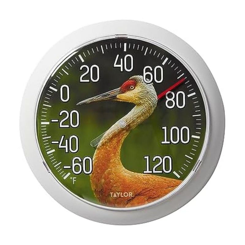 Termómetro Taylor Nature Sandhill Crane con bisel gris de 8.5"