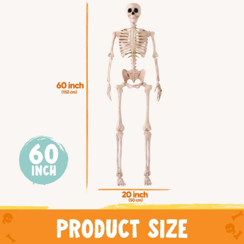 Esqueleto JOYIN de 150 cm Posable – Decoración de Halloween