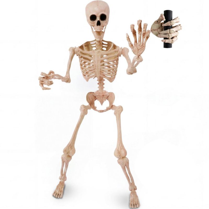 Esqueleto JOYIN de 150 cm Posable – Decoración de Halloween