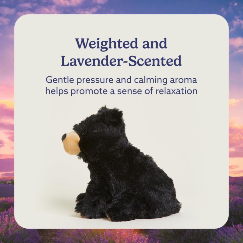 Animal de peluche Warmies Black Bear apto para microondas y pesado