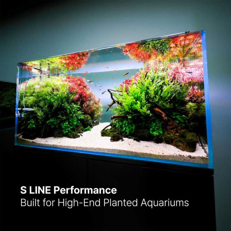 Luz LED para acuario TWINSTAR 300S 30 cm para tanque de 12‑16 pulgadas