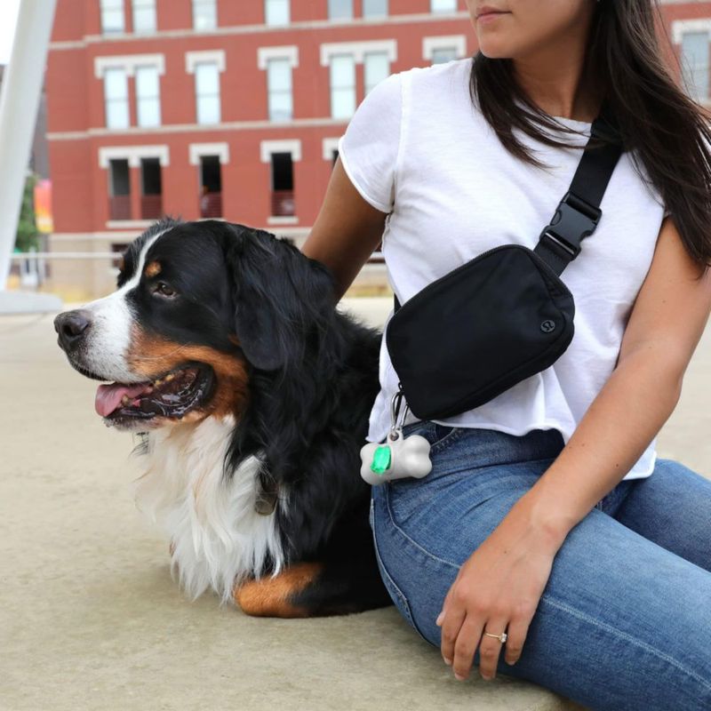 Dispensador de bolsas para excrementos de perro Arm & Hammer con 30 bolsas de origen vegetal