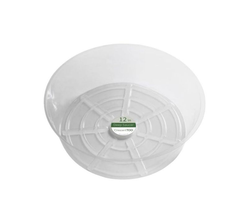 Plant Saucer Crescent Too 12 pulgadas transparente