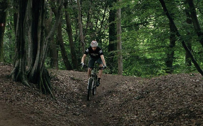 Sillín de bicicleta Selle Royal Vaia Athletic Terrain