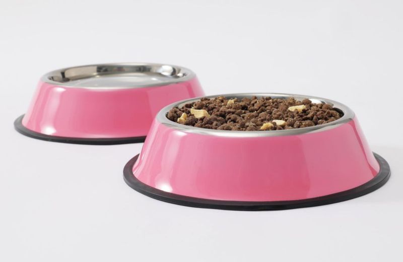 Tazones para perro Podinor paquete de 2 acero inoxidable antideslizante