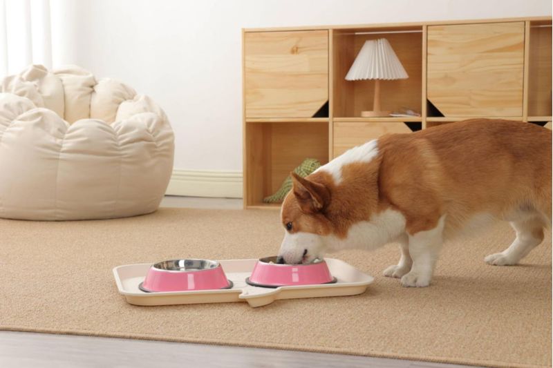 Tazones para perro Podinor paquete de 2 acero inoxidable antideslizante