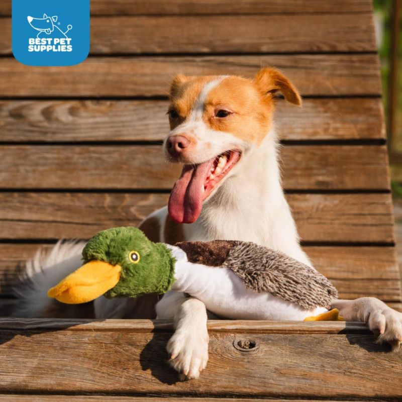 Juguete de Masticar para Perro Best Pet Supplies – Pato Grande Marrón