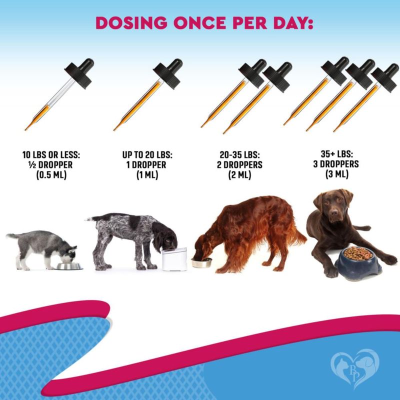 Medicamento para la tos Beloved Pets 60 ml para perros y gatos