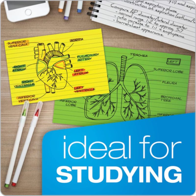 Tarjetas de índice Oxford 8 cm × 13 cm rayadas – paquete de 300