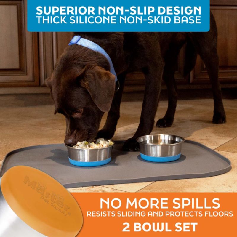 Juego de 2 cuencos para perros Master Pet Supply 950 ml Mango Tango