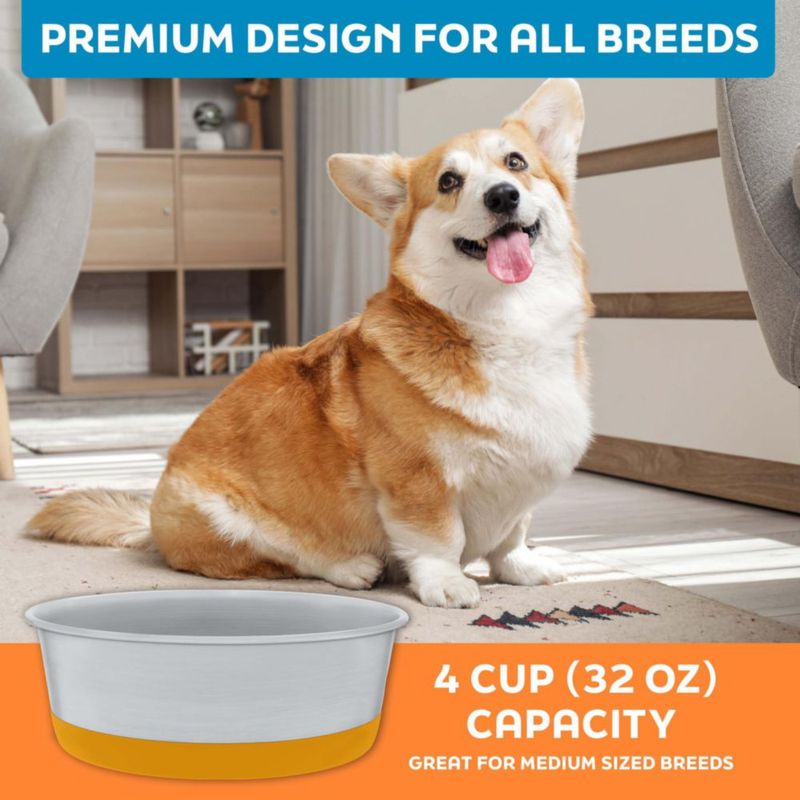 Juego de 2 cuencos para perros Master Pet Supply 950 ml Mango Tango